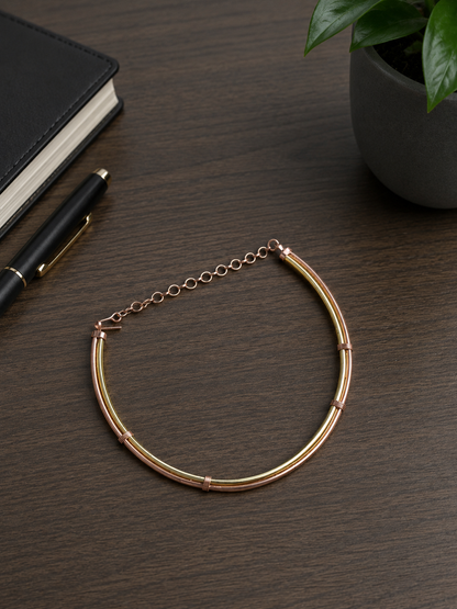 Shaivi Copper &  Brass Hasli Necklace